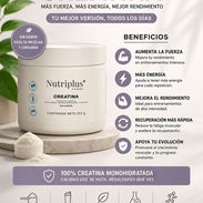 CREATINA NUTRIPLUS 150gr 30 servings Monohidratada (99.97%), Vitamina B6 (0.03%). - Img 55443136