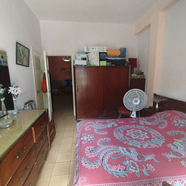 Biplanta en alto en 20 de mayo - Img 117730696