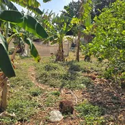 Terreno con 1000m² en Miramar (T-1) - Img 48147706