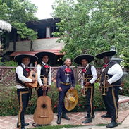 Mariachis luza de mexico en la habana cuba - Img 55186198