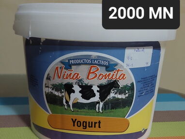 Tanqueta de Yogurt Natural Niña Bonita. Sellada, original. 4 litros. - Img main-image