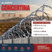Concertina Galvanizada - Img 57613945
