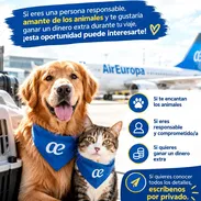 🐱✈️ ¿Vuelas a España con Air Europa? ¡Gana un extra ayudando a viajar a mascotas! - Img 58282774