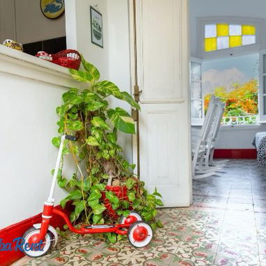 Renta / Alquiler de Apartamento Confort Vedado - Img 120298039
