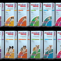 馃拪Antiparasitarios para tu mascota. Medicamentos para pulgas y garrapatas.馃惗馃樅 - Img 126021788