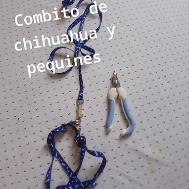 COMBITO PARA LOS PERRITOS 🐕 - 2/7