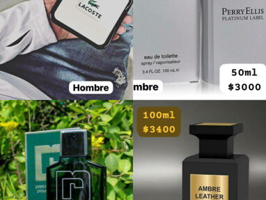 Perfumes - Img 64134204