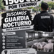 BUSCAMOS GUARDIA NOCTURNO - Img 58110556