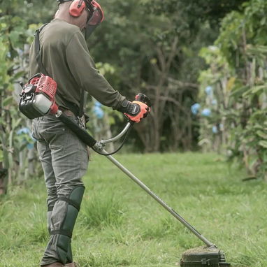 jardinería y Servicio de limpieza de exteriores - Img 121134699