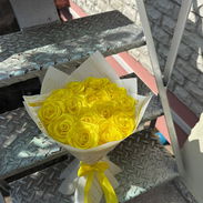 REGALOS - Img 55781025
