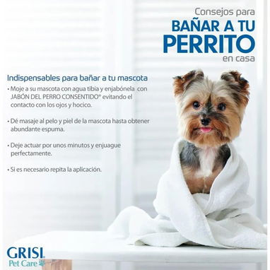 Jabón Del Perro Consentido - Img 117608513