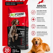 Su mascota merece solo lo mejor por eso le traemos pienso de mejor calidad porque su amigo peludo lo merece - Img 55591097