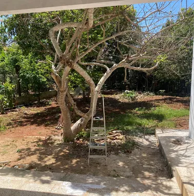 Se vende casa independiente en Celimar - Img 93758699