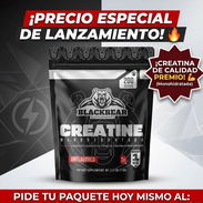 Creatina monohidratada - Img 56281849