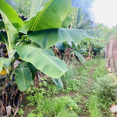Venta de casa en el campo - 7/10