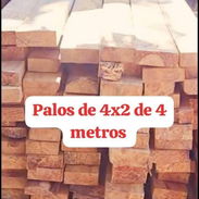 Palos - Img 56885582
