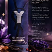 Perfumes - Img 56109043