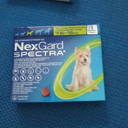Antiparasitario para perros - Img 55662976
