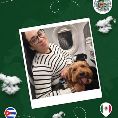 Agencia de viajes internacionales para mascotas - 4/10