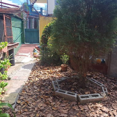 Casa planta baja de 4/4 ,2 baños,2 salas,garaje, piscina,gas de balita. - 7/10