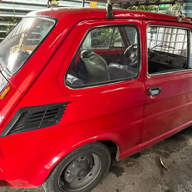 Vendo Polaco,papeles en Regla - 7/7