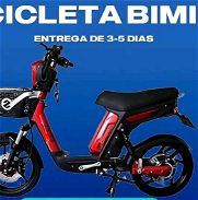 Bicimoto Bimini - Img 46059933