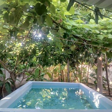 Casa independiente en El Sevillano - 10/10