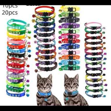 Tienda de artículos para mascotas. - 4/7