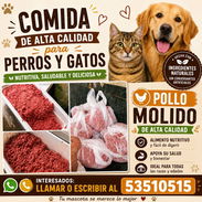 Comida para perros 🐶 Paquetes de 5 libras de pollo - Img 47930576
