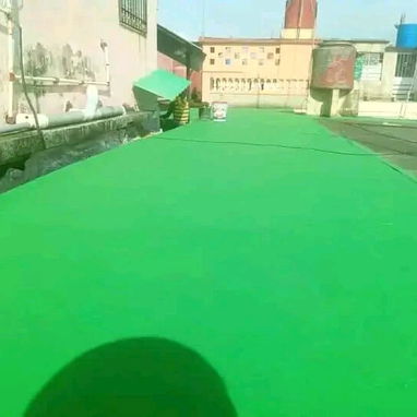 Impermeavilizacion, remodelacion, restauracion y recontruccion de techos. - 2/10