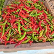 CHILE SUPER PICANTE - Img 55680247