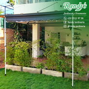 Venta de Bambú × RANDY'S Jardinería y Ornamentos - Img 45592770