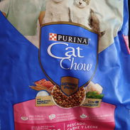 Comida para gatos - Img 54955017