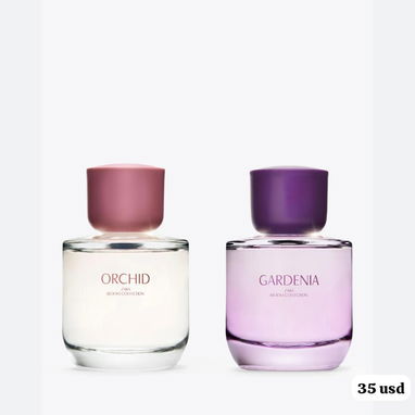 Perfumes ZARA de hombre y mujer - Img 123382610