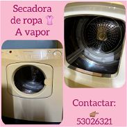 Secadora de ropa a vapor - Img 45405097