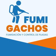 Fumigación- Control de plagas- Chinches - Img 54062933