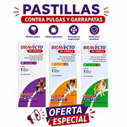 BRAVECTO 1M TRIPLE/ OFERTA ESPECIAL/ CONTRA GARRAPATAS Y PULGAS - Img 56949785