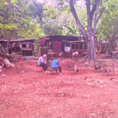 Venta de finca en cojimar 4800 m² - 3/10