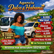 Usted desea realizar alquilar una gua y Vans somos los indicados - Img 56293221