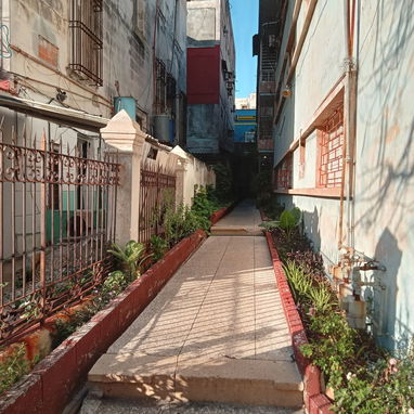 RENTA APTO. INDEPENDIENTE EN VEDADO 250 USD - Img 124942258