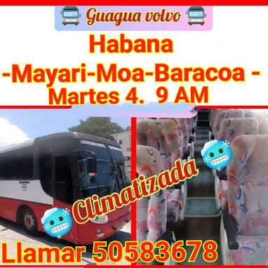 Agencia San Miguel - Img 126983592