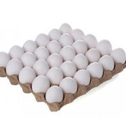 Huevos blancos recién importados a 3100 CUP - Img 45621157