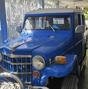 Se vende willy pisicorre - Img 50092114