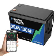 Bateria LiFePO4 25.6v 100Ah - Img 56736613