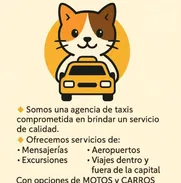 Ambar Taxi Viajes Seguros, Rápidos y Siempre Disponibles 24/7 (Kinetica) - Img 49889190