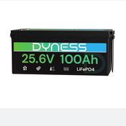 Batería LiFePO4 24V100Ah (2560Wh) Dyness con BMS 100A y Protección de Baja Temperatura - Ideal para Sistema Solar, RV y - Img 56860177