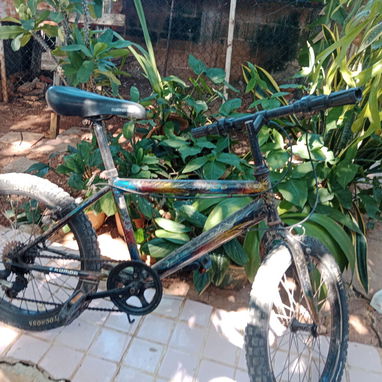 Bicicleta 20 - 2/2