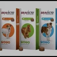 Bravecto - Img 52907570