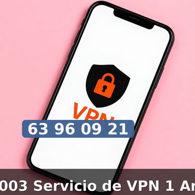 Servicio de VPN 1 Ano - 2/2