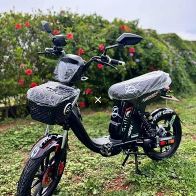 Bicimoto Mishozuki Grillo 14th gen - Img 123067707